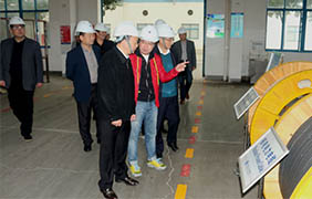 2015年11月22日，，，，郎溪县党政代表团一行来asiagame电缆旅行考察