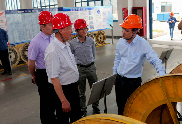 2016年5月14日，，，，，宁夏回族自治区人民政府研究室副主任苏昀一行来asiagame电缆调研