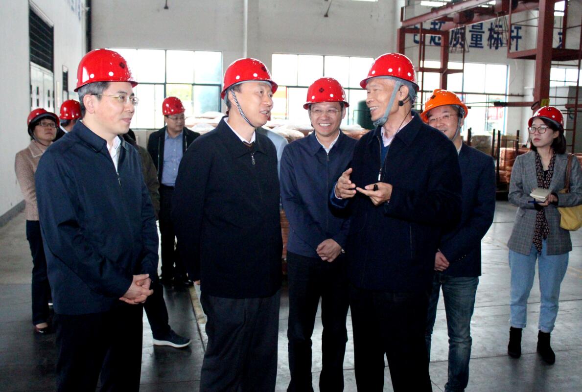 江苏省副省长马秋林一行来asiagame电缆调研