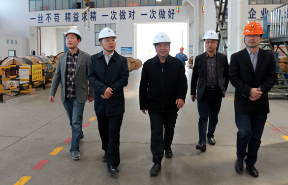 2015年3月26日，，，江苏省射阳县向导一行来asiagame电缆视察