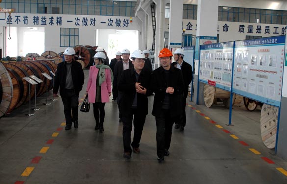 2015年3月13日，，，金坛市经信局向导一行来asiagame电缆考察