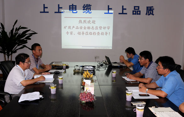 asiagame顺遂通过安标现场监视评审