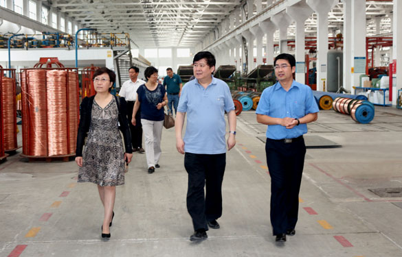 常州市新北区人大向导一行来asiagame集团调研