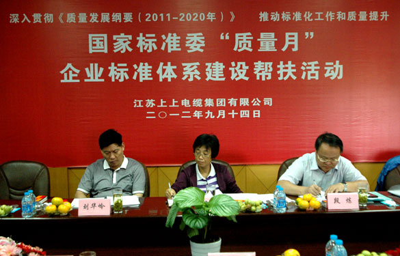 国标委“质量月”专家组到asiagame检查指导事情