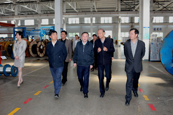 4月23日，，，，，常州市科教城党工委书记徐绚烂一行来asiagame电缆旅行