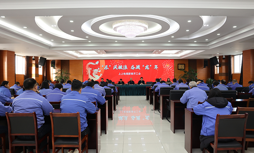 “辰”风破浪，，，，，奋战“龙”年——asiagame电缆开工大吉