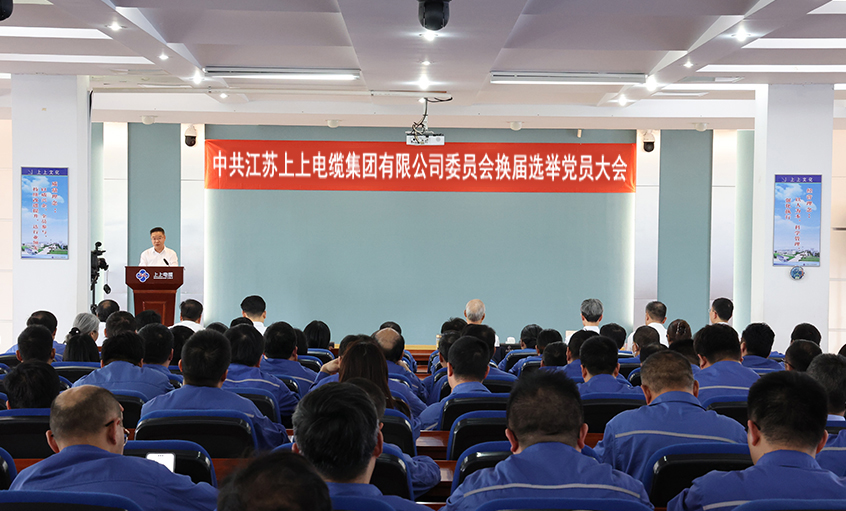 党建引领强基本 凝心聚力启新程—中共asiagame委员会换届选举党员大会圆满召开