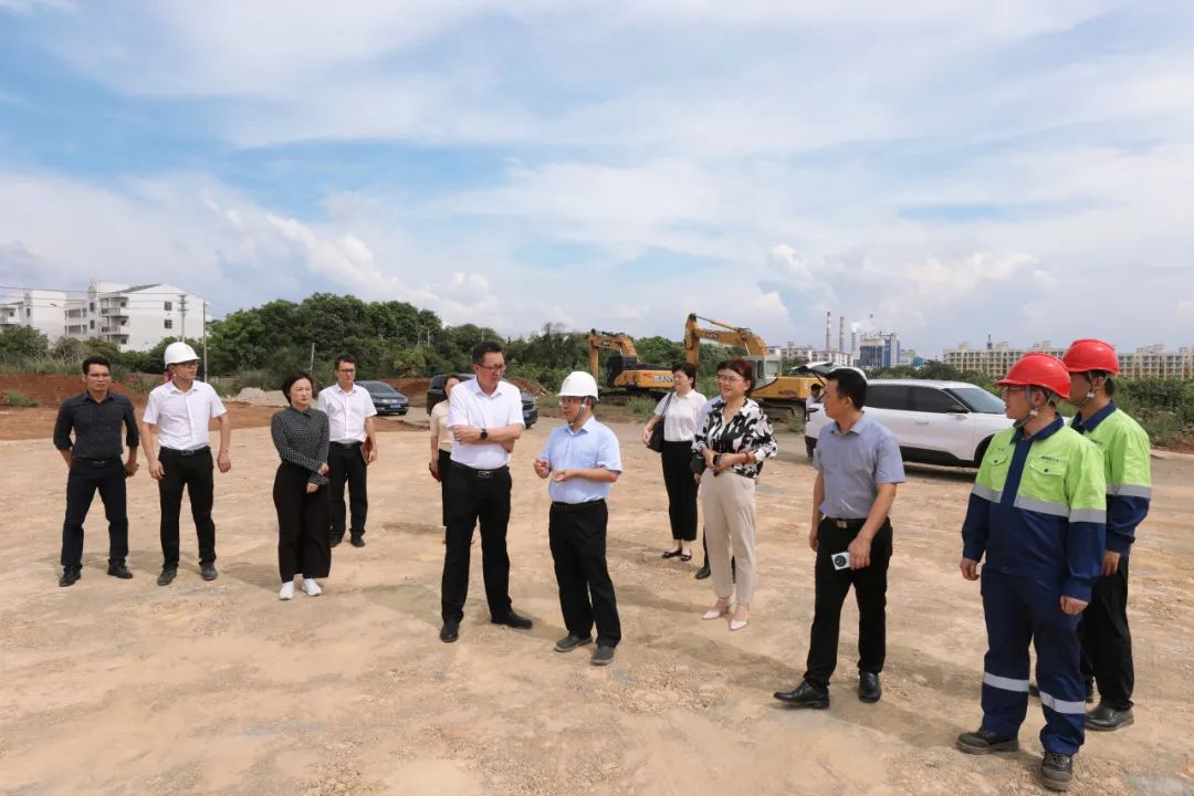 海南省工信厅到rb88随行版督导氢氧化锂项目建设