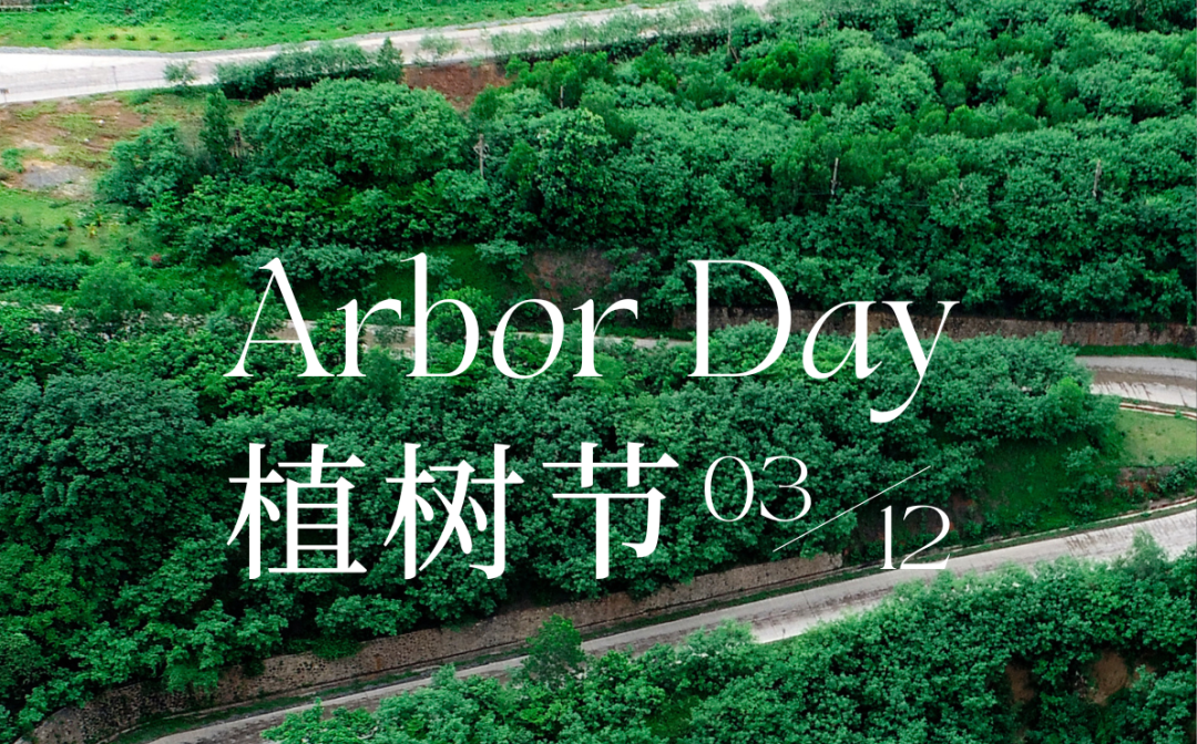 植树节 | rb88随行版的绿色画卷
